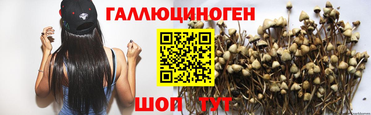 Рязань  Псилоцибиновые грибы GOLDEN TEACHER  Вход с VPN 