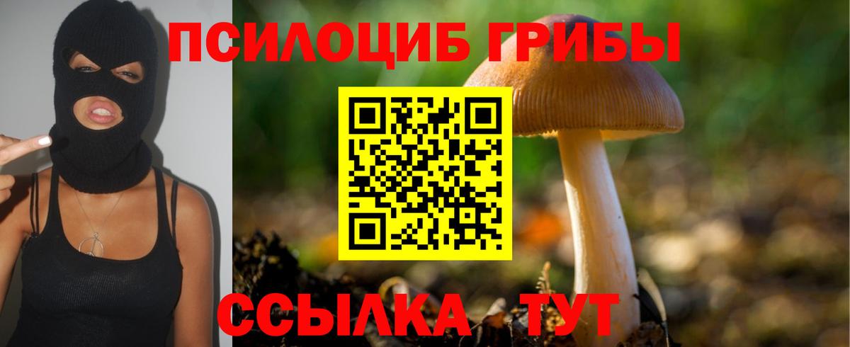 Псилоцибиновые грибы MAGIC MUSHROOMS Рязань